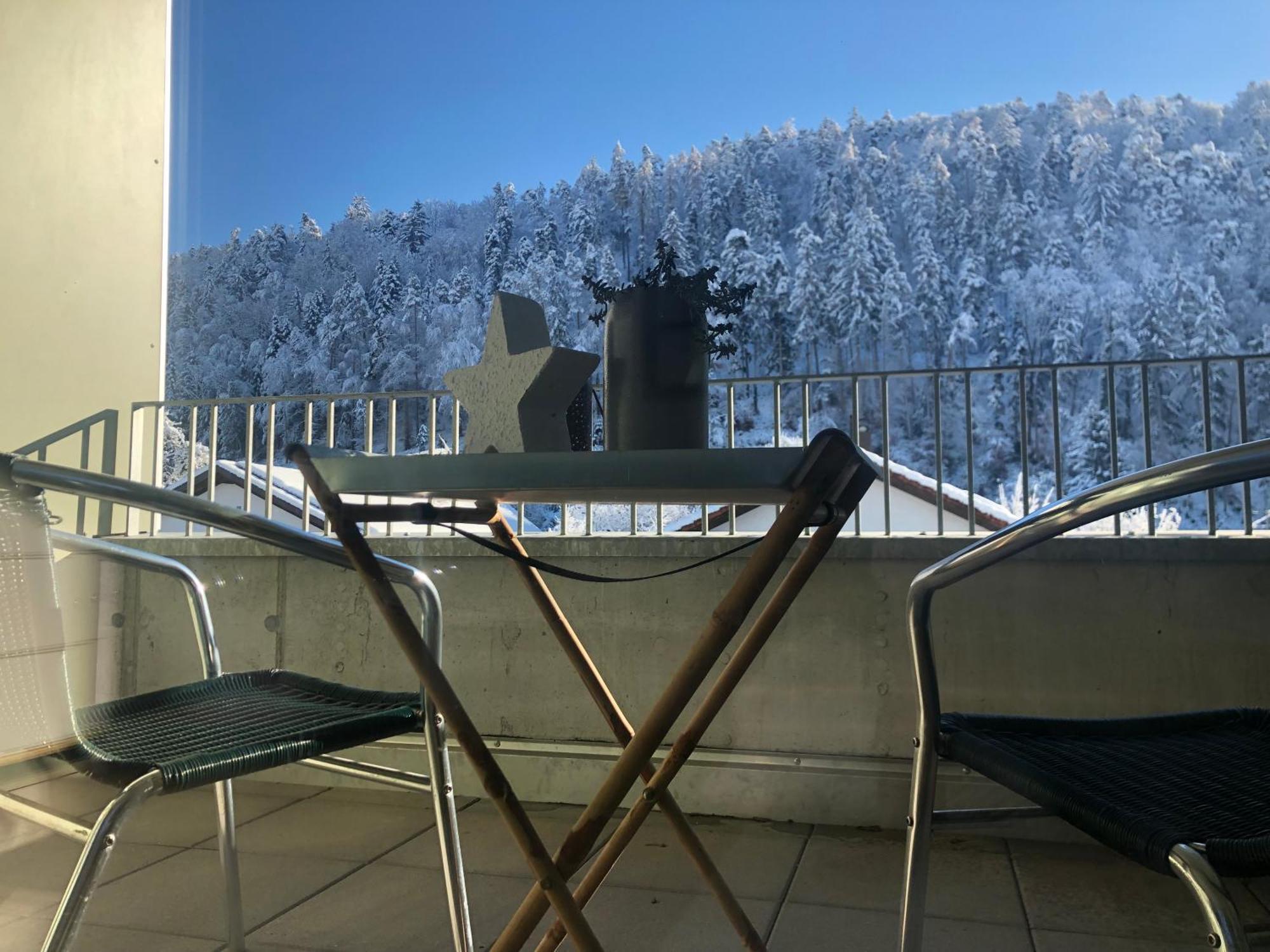 Apartments "Am Ardetzenberg" Feldkirch Exterior photo